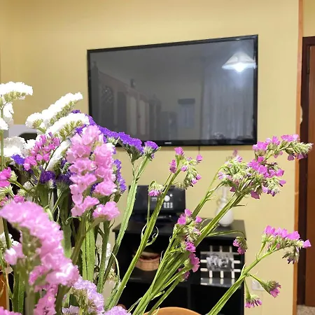 Experience Apartment *